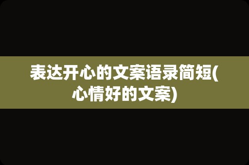 表达开心的文案语录简短(心情好的文案)