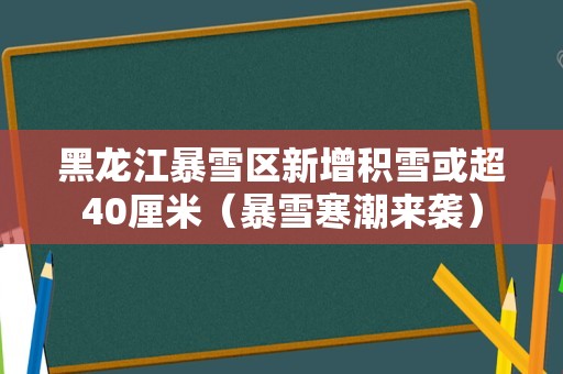 黑龙江暴雪区新增积雪或超40厘米（暴雪寒潮来袭）