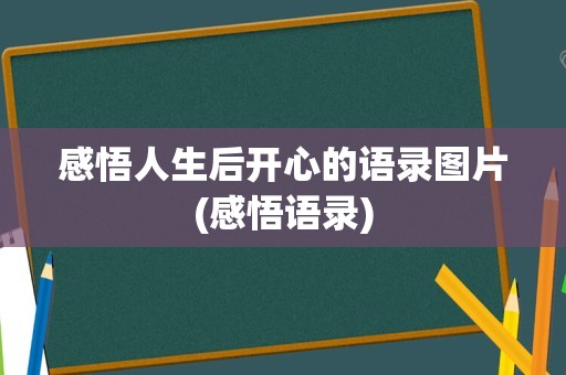 感悟人生后开心的语录图片(感悟语录)