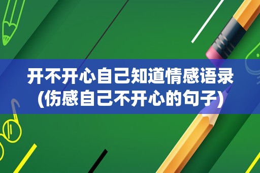 开不开心自己知道情感语录(伤感自己不开心的句子)