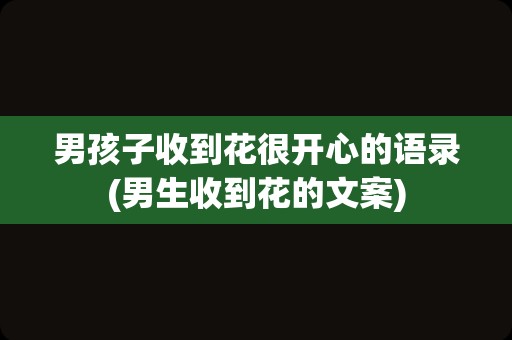 男孩子收到花很开心的语录(男生收到花的文案)
