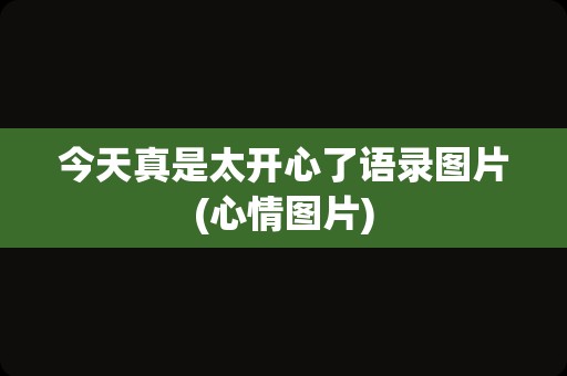 今天真是太开心了语录图片(心情图片)