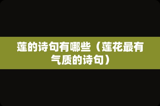 莲的诗句有哪些（莲花最有气质的诗句）