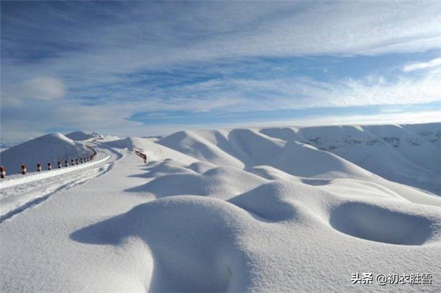 冬雪雪冬小大寒（关于冬至节的诗句古诗大全）