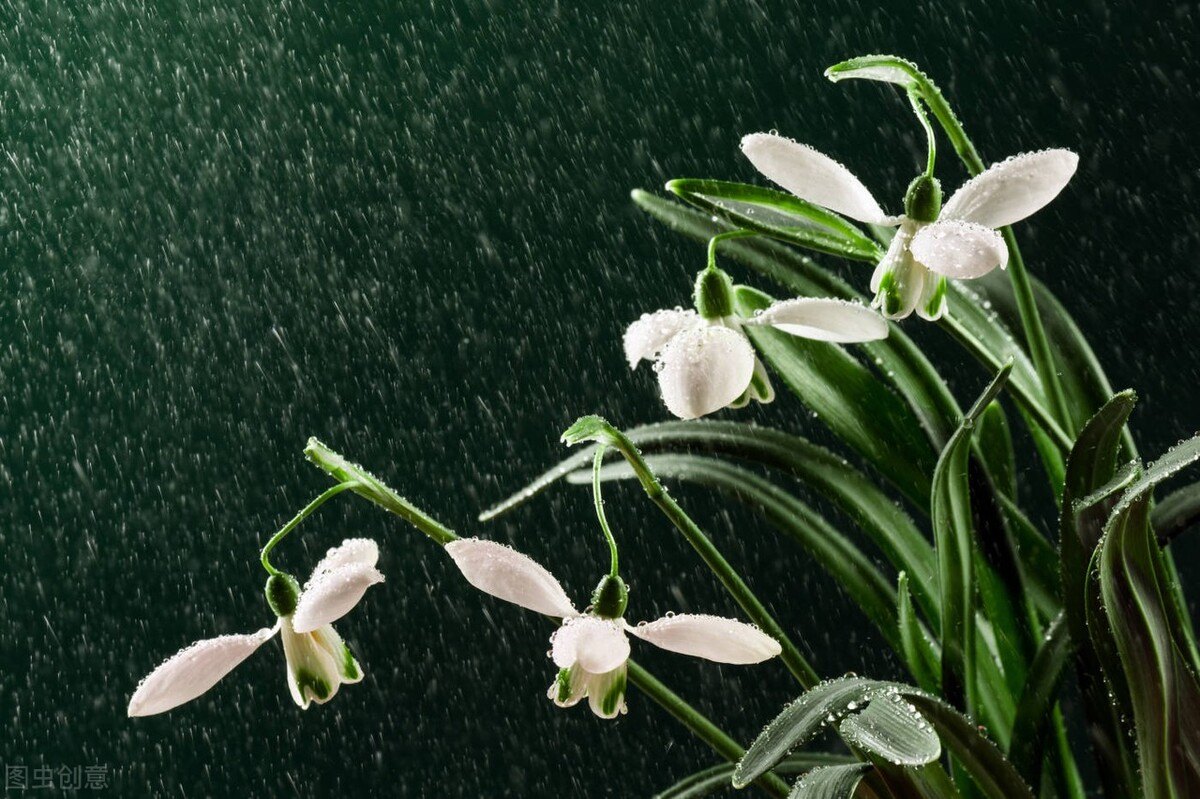 雨景描写片段唯美（关于雨后的唯美句子简短）