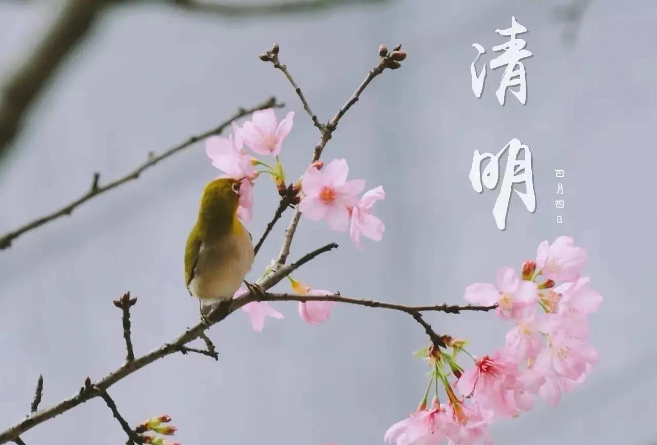 黄庭坚清明诗赏析（黄庭坚最有名的十首诗）