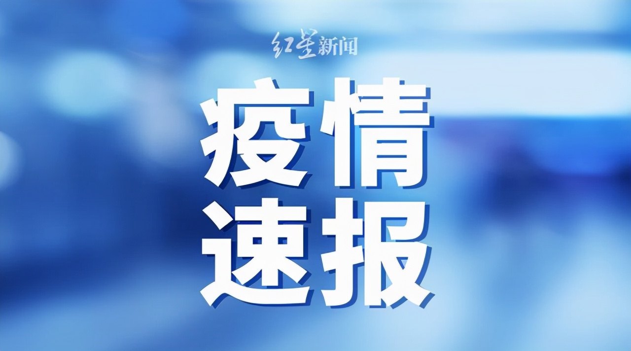 黑龙江新增本土确诊11例（黑龙江疫情新增报道）