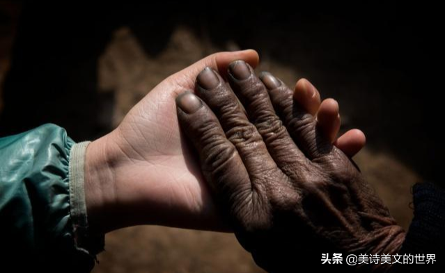 赞美母亲的诗句古诗（赞美母亲伟大的优美句子）