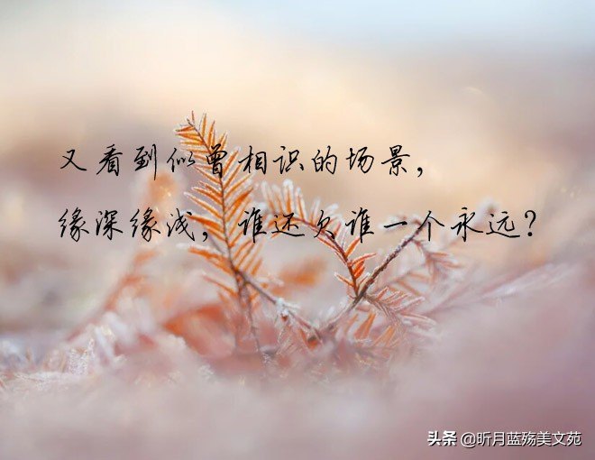 默默牵挂一个人的说说图片（夜深想念人的短句）
