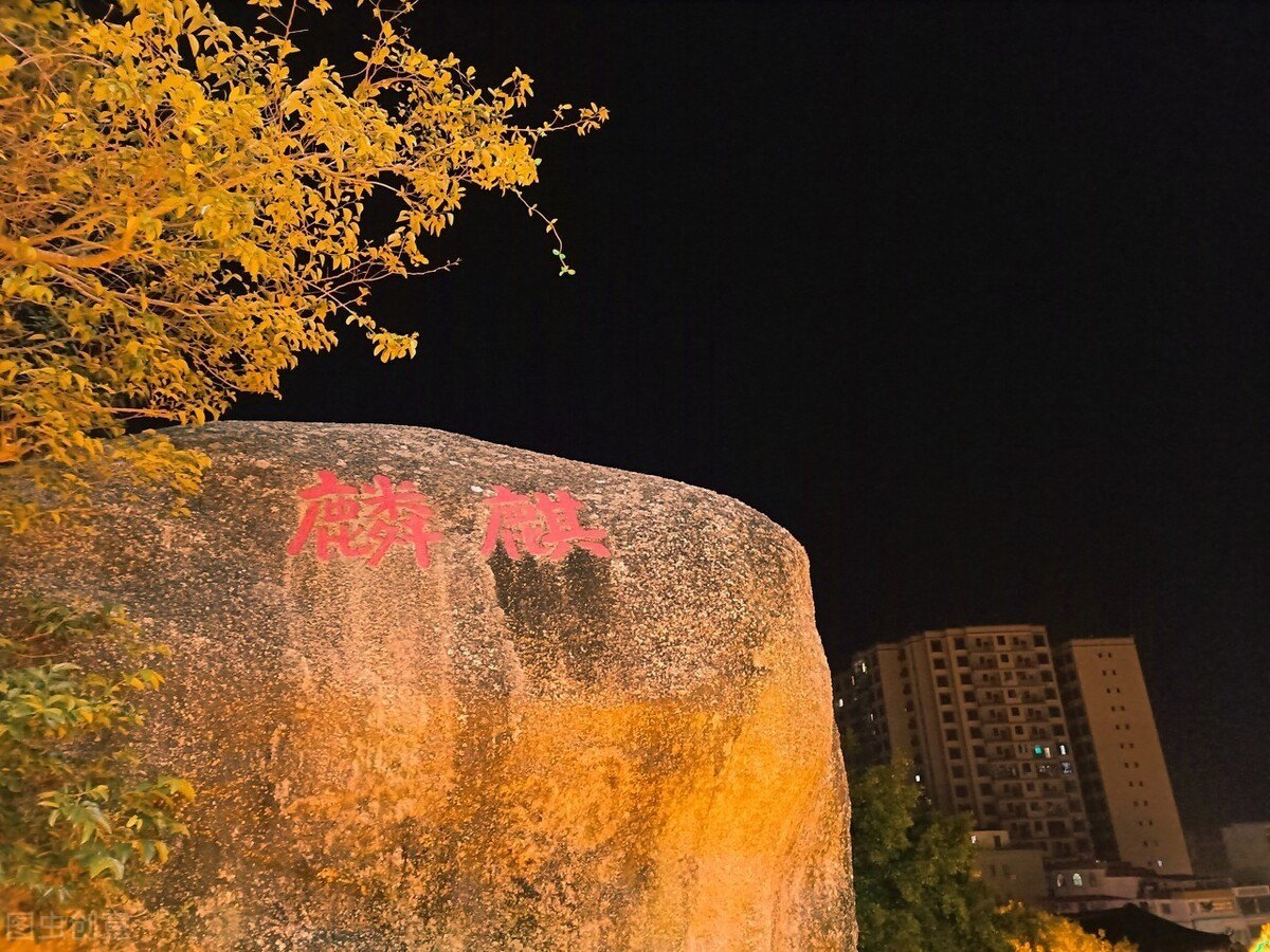 重阳古诗大全（九九重阳节古诗大全）