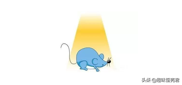 鼠目寸光什么意思（鼠目寸光的寓言成语故事）