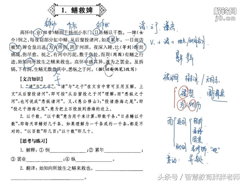鳝救婢文言文翻译及注释（鳝救婢的启示）